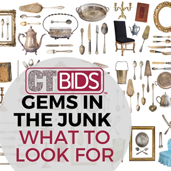 Finding Gems in the Junk: What to Look For